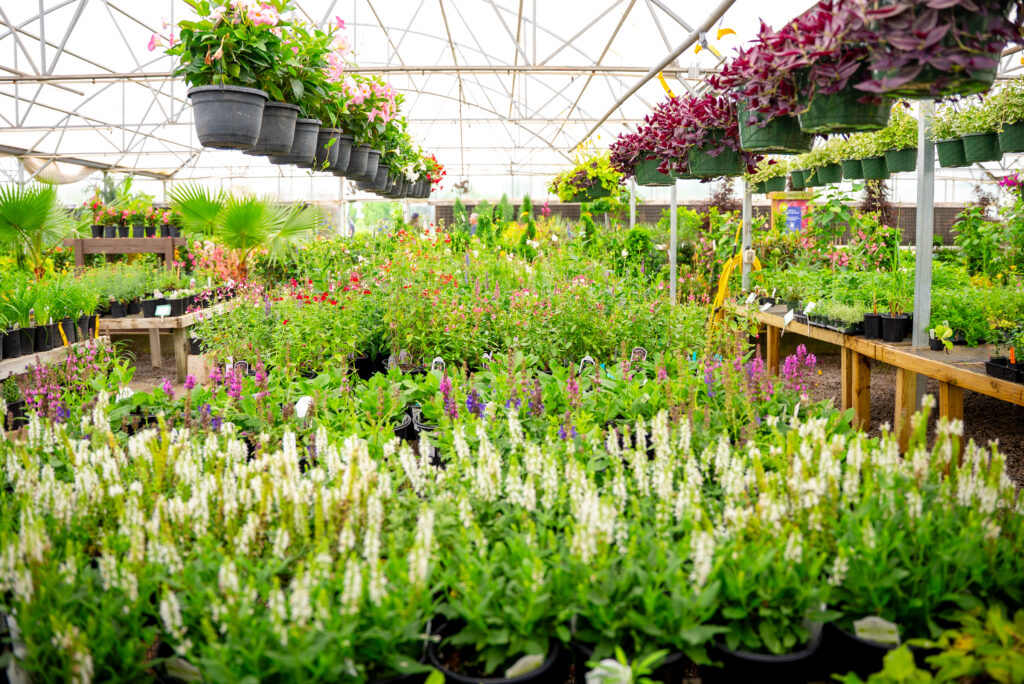 Precure Garden Center