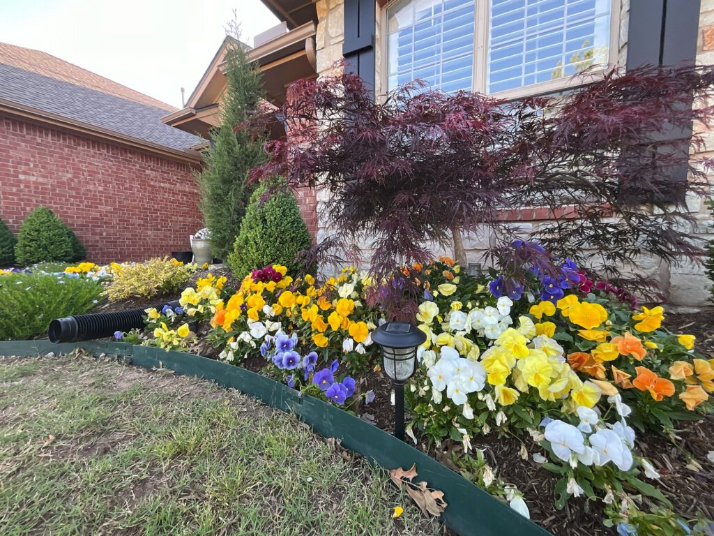 Creating a Fall Flowerbed That Lasts All Season