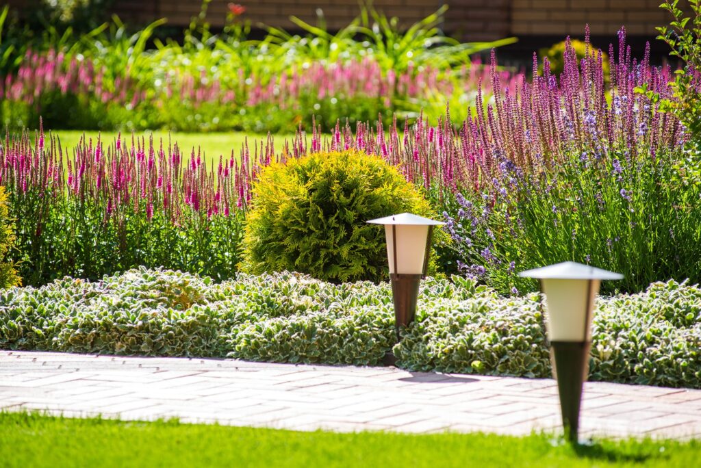 Best Outdoor Plants for Oklahoma Weather: Grass, Trees & Flowers That Thrive