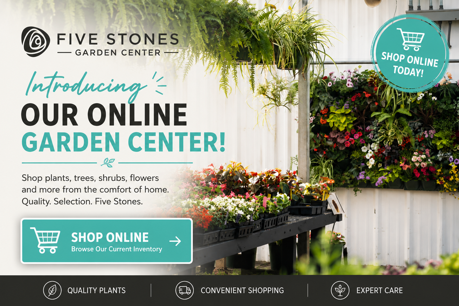 FiveStoneOnlineShopPopUp